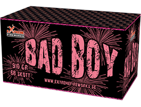 Bad Boy